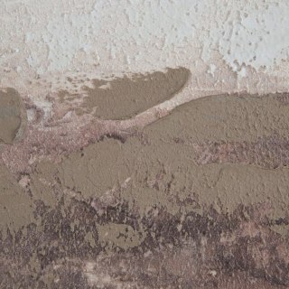 OBRAZ 689 80 X 100 CM BEŻOWY