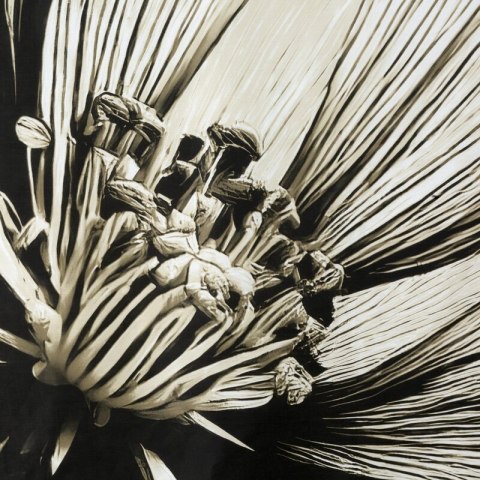 KOMPLET POŚCIELI SATYNOWEJ SPRING 78 140 X 200 CM JASNOBEŻOWY