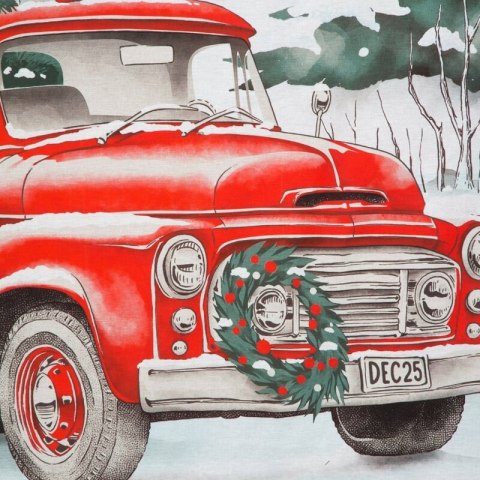 POŚCIEL ŚWIETECZNA SW/POS/XMAS 220X200 70X80/X2