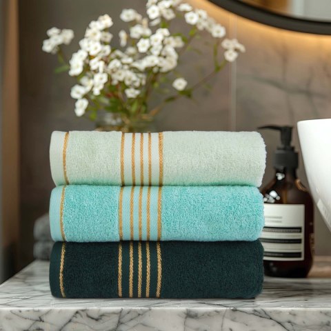 Ręcznik D Bawełna 100% Tiwano Cappuccino + Zieleń Butelkowa (P) 2x50x90+2x70x140 kpl.