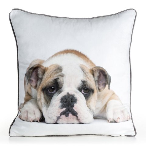 POSZEWKA ANIMAL 81 45 X 45 CM BIAŁY