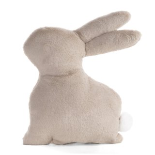 POSZEWKA WIOSNA 131 35 X 39 CM BEŻOWY