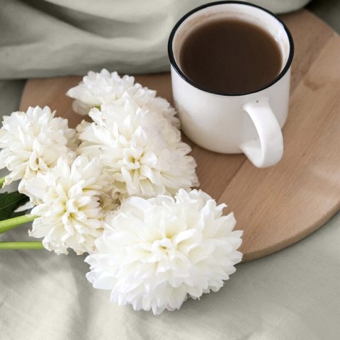 PRZEŚCIERADŁO Z GUMKĄ BASIC 220 X 200 X 30 CM BEŻOWY