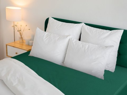 PRZEŚCIERADŁO Z GUMKĄ BASIC 220 X 200 X 30 CM BUTELKOWY ZIELONY