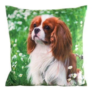 POSZEWKA ANIMAL 74 45 X 45 CM ZIELONY