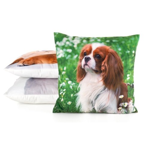 POSZEWKA ANIMAL 74 45 X 45 CM ZIELONY POSZEWKA ANIMAL 74 45 X 45 CM ZIELONY