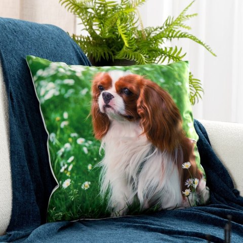 POSZEWKA ANIMAL 74 45 X 45 CM ZIELONY POSZEWKA ANIMAL 74 45 X 45 CM ZIELONY