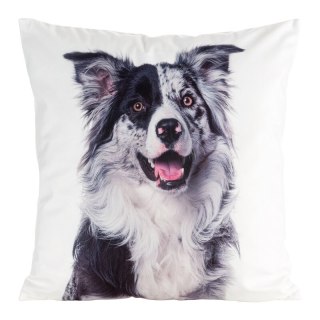 POSZEWKA ANIMAL 77 45 X 45 CM BIAŁY