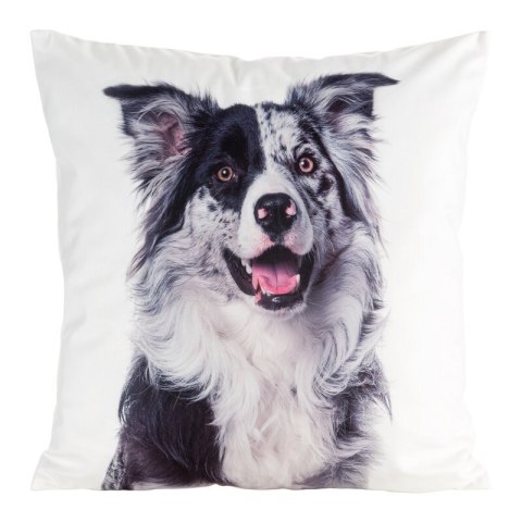 POSZEWKA ANIMAL 77 45 X 45 CM BIAŁY POSZEWKA ANIMAL 77 45 X 45 CM BIAŁY