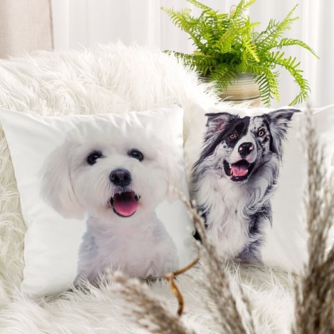 POSZEWKA ANIMAL 77 45 X 45 CM BIAŁY POSZEWKA ANIMAL 77 45 X 45 CM BIAŁY