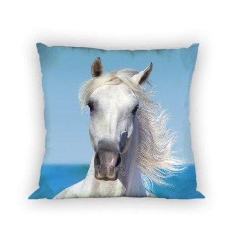 Poszewka bawełniana 40x40 Koń Poszewka bawełniana 40x40 Koń
