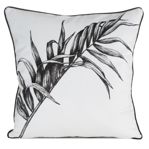 PREM/PALOMA/CHP 60X60 B+CZAR PREM/PALOMA/CHP 60X60 B+CZAR