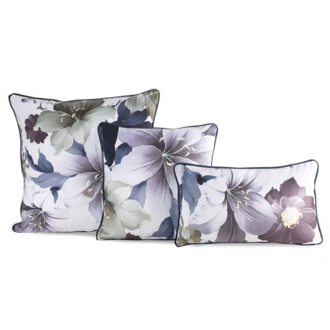 PREM/SOFIA/CHP 45X30 B+FIOL/WYP. PREM/SOFIA/CHP 45X30 B+FIOL/WYP.