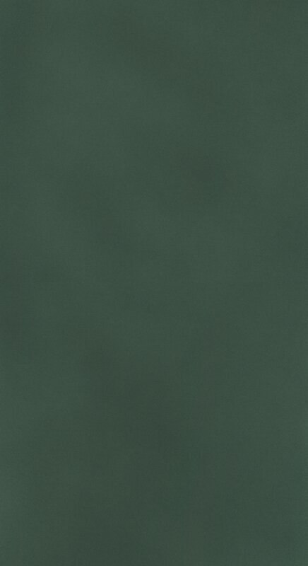 ZASŁONA GOTOWA ADARI 140 X 250 CM CIEMNOZIELONY ZASŁONA GOTOWA ADARI 140 X 250 CM CIEMNOZIELONY