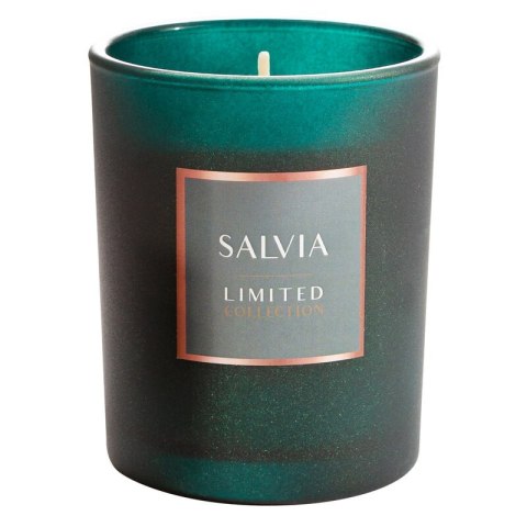 ŚWI.SALVIA.C.ZIE ŚWIECA/200GR ŚWI.SALVIA.C.ZIE ŚWIECA/200GR