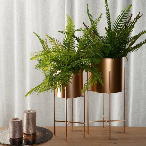 WY/DONICA/1376/2 TURK/18X40 WY/DONICA/1376/2 TURK/18X40