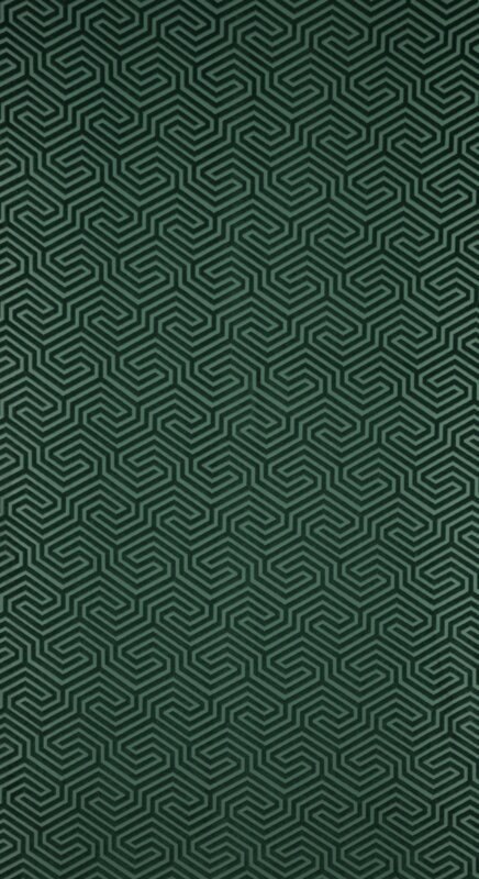 ZASŁONA GOTOWA INGA 140 X 250 CM CIEMNOZIELONY ZASŁONA GOTOWA INGA 140 X 250 CM CIEMNOZIELONY