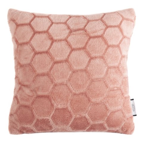 SI/PO/ZOE/2/PUD 40X40 PUD